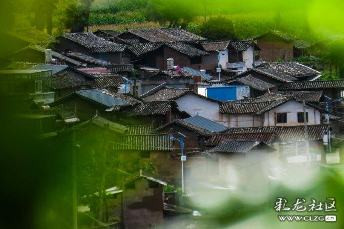 燃烧吧大脑免广告最新版