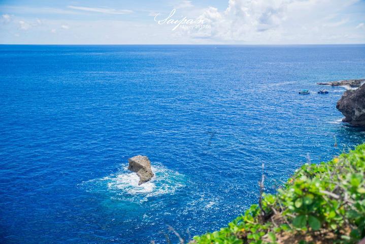 探索 问一下各种花香的味道(急~~~),共享知识的星球