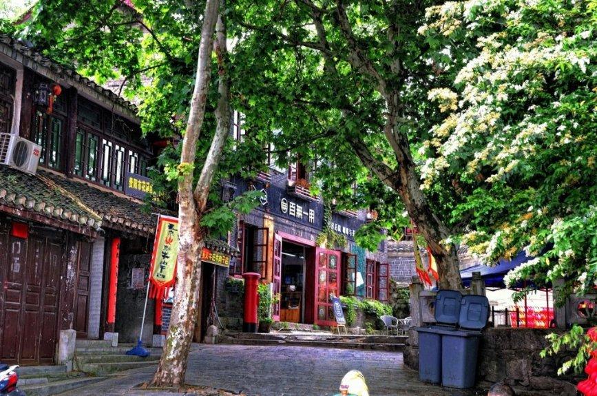 手机怎样查违章号限号,解锁智慧