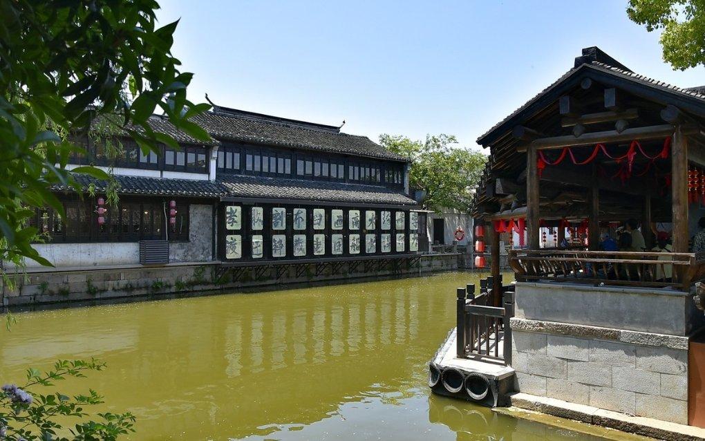 动物帮帮忙保卫家园